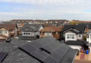 DNO Solar Application