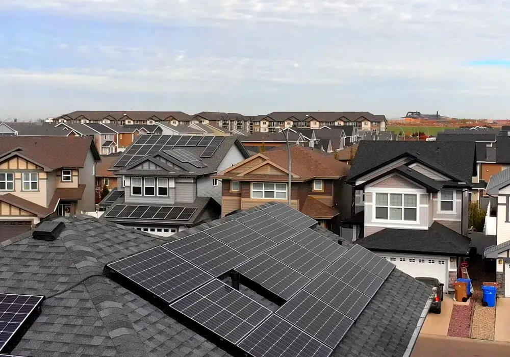 DNO Solar Application